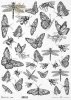owady, motyle, pszczoły, osy, trzmiele, ważki*insects, butterflies, bees, wasps, bumblebees, dragonflies*Insekten, Schmetterlinge, Bienen, Wespen, Hummeln, Libellen*insectos, mariposas, abejas, avispas, abejorros, libélulas